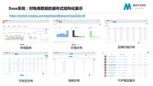 魔镜市场情报产品 主流b2c电商网站 o2o平台 社交电商商品 销售等精准数据